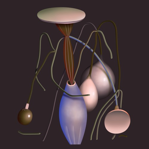 LOK007 | Cook Strummer - Fallen: A Remix EP