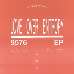 NR05 Love Over Entropy - 9576 EP