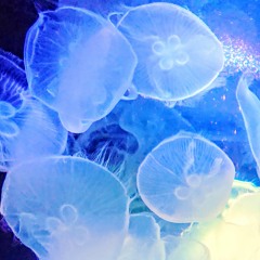 AMBIENT MUSIC