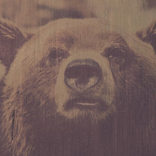 Instru  "Terres Mortes"