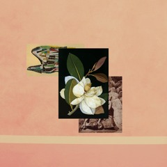 immerse loops [full album]
