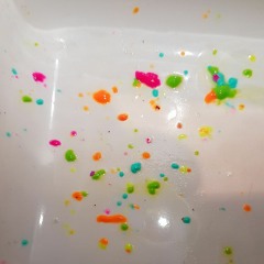 Then This Morning Happened