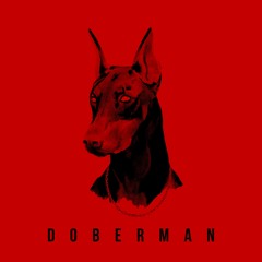 Lovemare. - Doberman