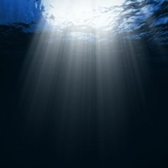 NEW INSTRU 2018 N° 11