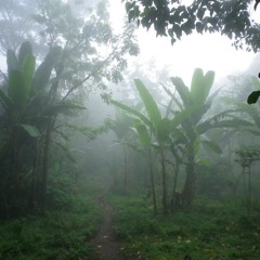 Karlkaa - Jungle
