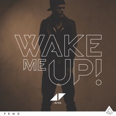 Avicii X Dj Snake & Justin Bieber - Wake Me Up X Let Me Love You (Blazee Personnal Bootleg)