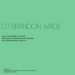 DJ Brandon Wade