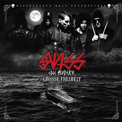 Swiss & die Andern - Punk zurück