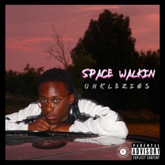 Space Walkin' - Unkle Zigs