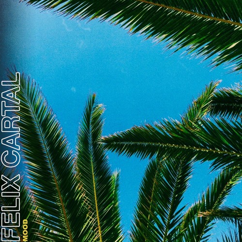 Stream Felix Cartal - Mood (Steff da Campo Remix) by Steff da Campo |  Listen online for free on SoundCloud