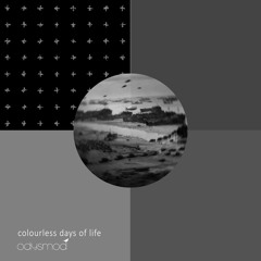 colourless days of life. audio documentary