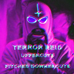 TERROR REID - UPPERCUTS (PITCHED DOWNERCUTS EDITION)