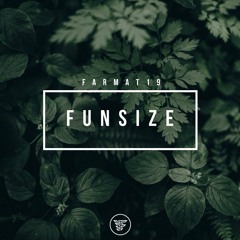 FARMAT 19 - Funsize