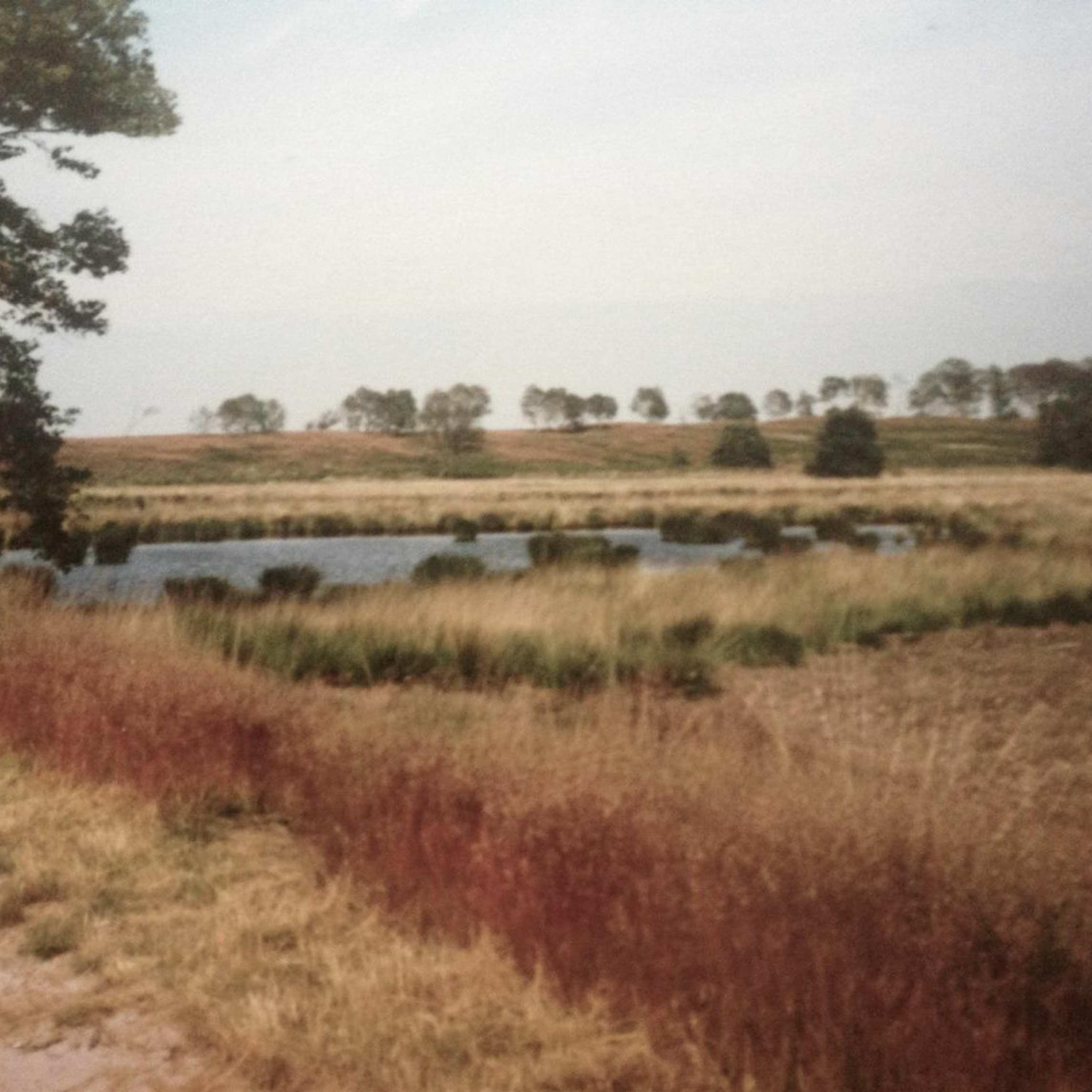 braambergwereldreizen, de podcast