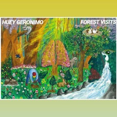 Huey G - Forest Visits
