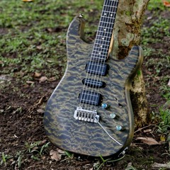 Whatever Comes (Instrumental Version)