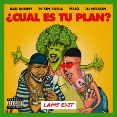 Bad Bunny Ft. Pj Sin Suela, Nejo Y Dj Nelson - Cual Es Tu Plan (LAMS Short Version EDIT)