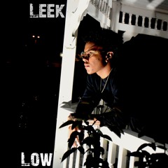 SCE Leek - Low
