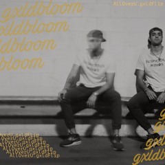 AllOverU.gxldflip