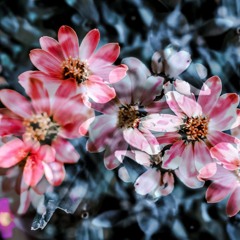 20181013 endlessgroovin' vol.6