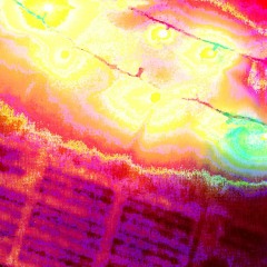 Reflections On Exile