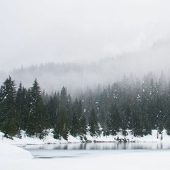 Snowflakes in the wind