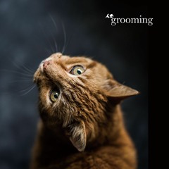 grooming - Crossfade Demo- / by Duende Pianoforte