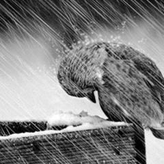 Take It All Back x SP DeadPoet x Infinite Capacity