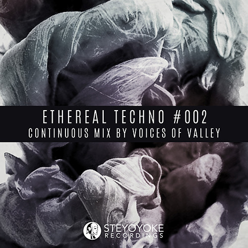 Ethereal Techno #002 (Continuous Mix by Voices Of Valley) | Steyoyoke
