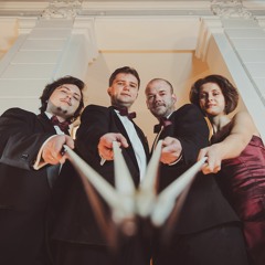Vivarta - Arcadia Quartet