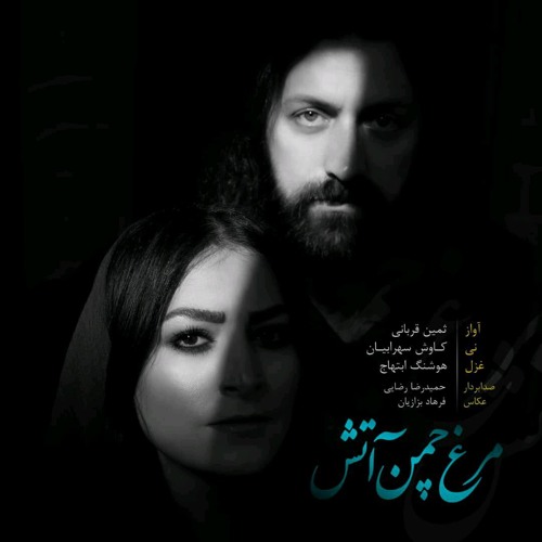 مرغ چمن آتش- ثمین قربانی- کاوش سهرابیان