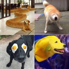 paint it black but it never starts