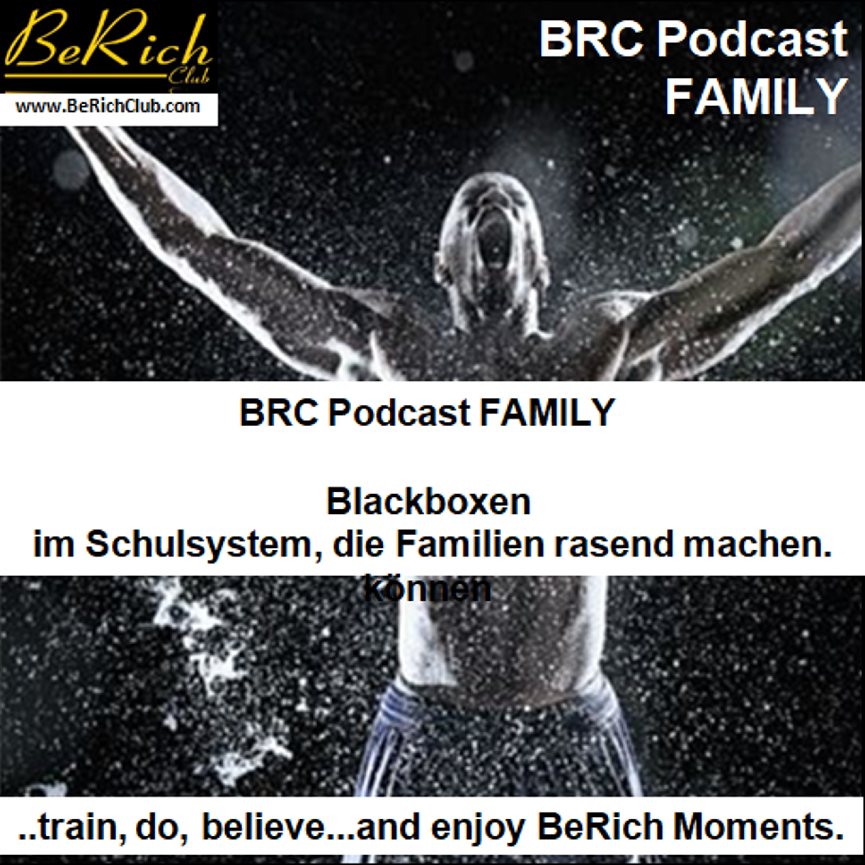 BrcFamily 0006 - Blackboxen im Schulsystem die Familien rasend machen können episode artwork