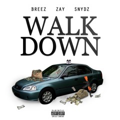 Walk Down (Feat. Zay) (Prod. Snydz)