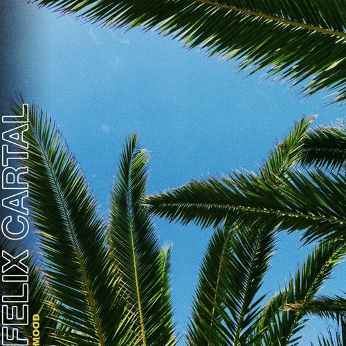 Felix Cartal - Mood (Sultan + Shepard  Remix)