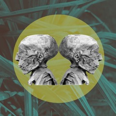 CARNERO - METZ ATTACK 001