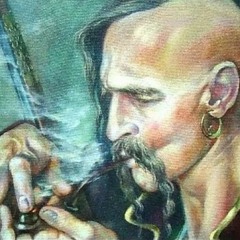 Николай Емелин - Беда Бедовая