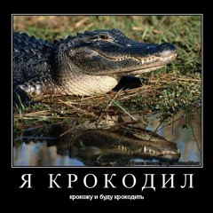 ya_YA_KROKODIL_LACOSTE__(xtremex3.com).mp3