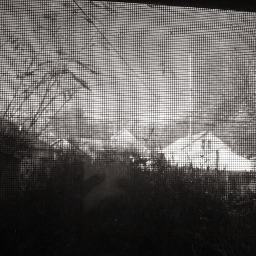 New Tracks