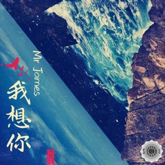 Mr James - 我想你