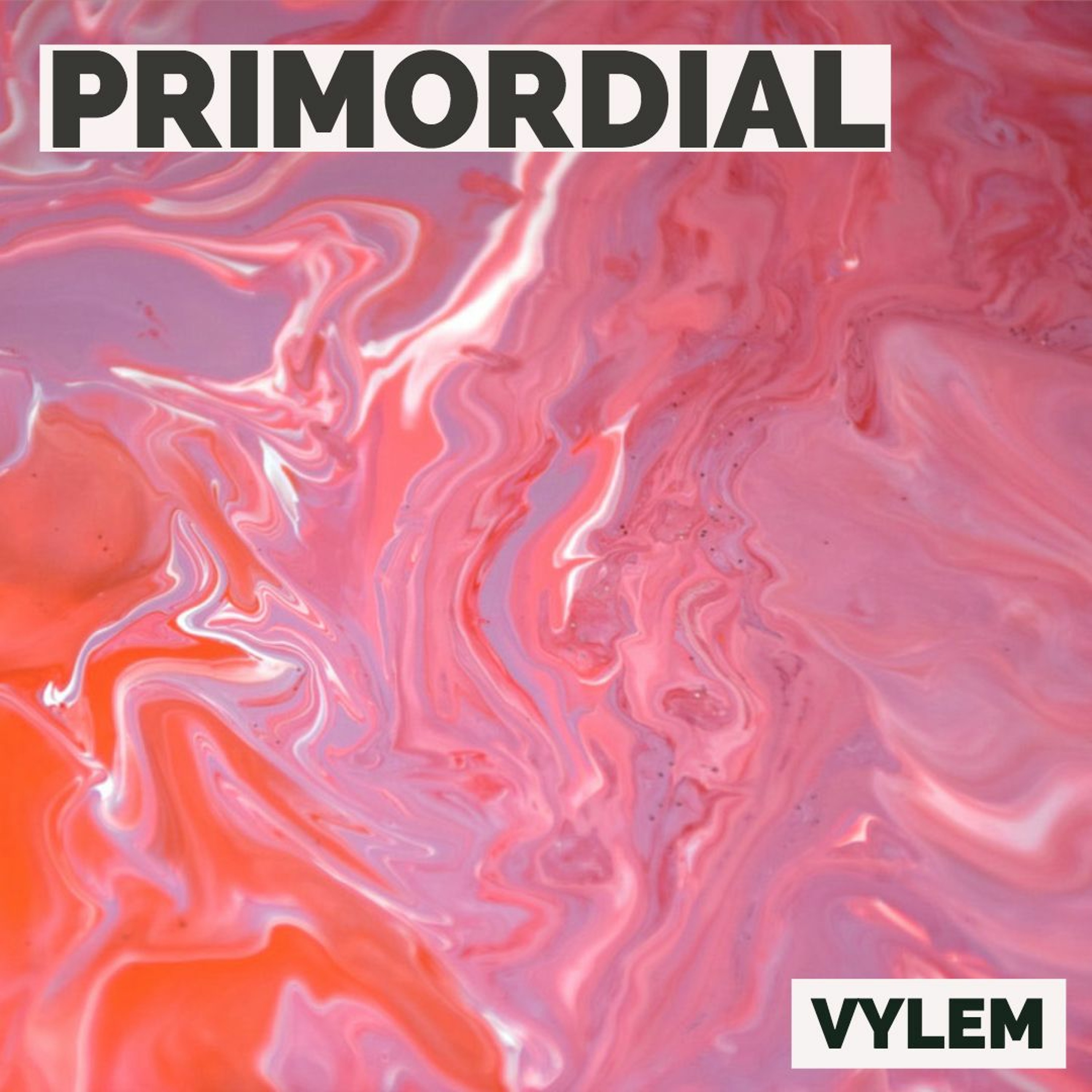VYLEM