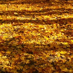 Day When I Feel 8 mIx