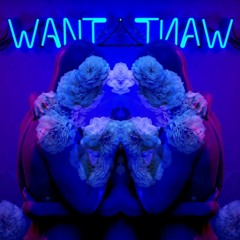 Sam Smyers ~ Want You (Majel Remix)