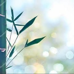 سعيد طوسي| من سورة الأحزاب 43-46| مقام النهاوند |نادر