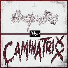 (E)ye (Feat. Caminatrixx & ShoPaRo)