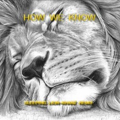 Sleeping Lion - How We Know (Khanz Remix)
