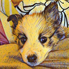 Frappe (Prod. AngelMatic)