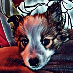 E.A.L.F (Prod. Kid Ocean)