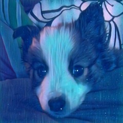 Specimens (Prod. Kid Ocean)