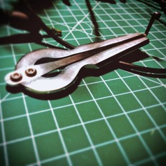 Scacciapensieri 01.1